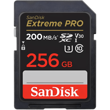 SD Card